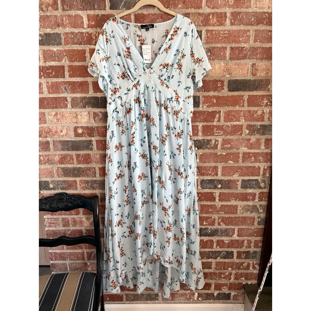 NWT Women's Suzanne Betro Ruffled Sheer Blue‎ Floral Maxi Dress Sz 2Xl